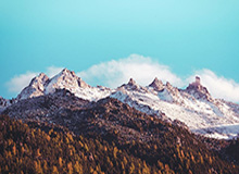 开云-预防球员猝死筑两道防线 意大利制度公认世界最佳